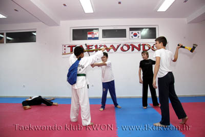 taekwondo kwon training